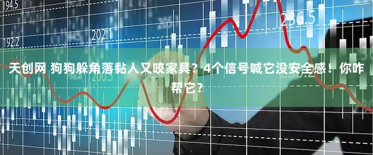 天创网 狗狗躲角落黏人又咬家具？4个信号喊它没安全感！你咋帮它？