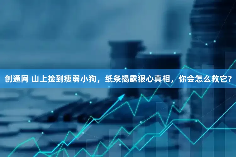 创通网 山上捡到瘦弱小狗，纸条揭露狠心真相，你会怎么救它？