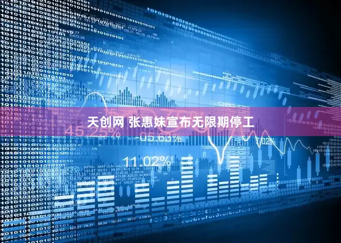 天创网 张惠妹宣布无限期停工